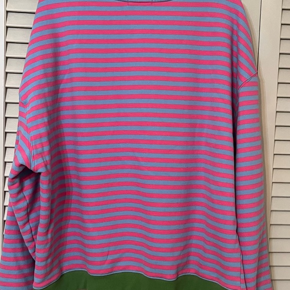 Natural Life Striped Pink and Blue Sweatshirt with Green Accents- oversized look - Picture 2 of 6